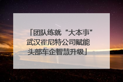 团队练就“大本事” 武汉霍尼特公司赋能头部车企智慧升级