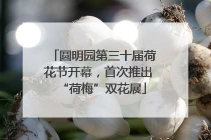 圆明园第三十届荷花节开幕，首次推出“荷梅”双花展