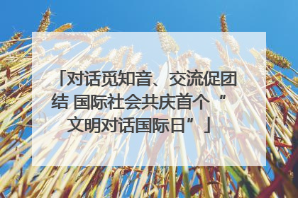 对话觅知音、交流促团结 国际社会共庆首个“文明对话国际日”