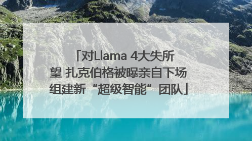 对Llama 4大失所望 扎克伯格被曝亲自下场组建新“超级智能”团队