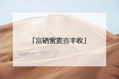 富硒紫麦喜丰收