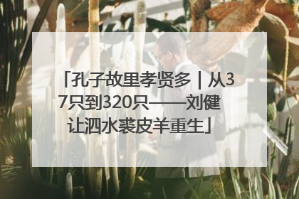 孔子故里孝贤多｜从37只到320只——刘健让泗水裘皮羊重生
