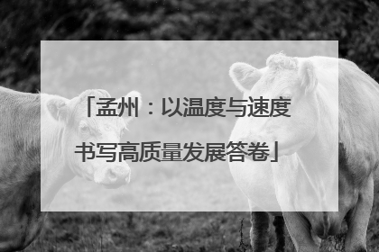 孟州：以温度与速度书写高质量发展答卷