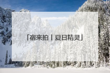 宿来拍丨夏日精灵