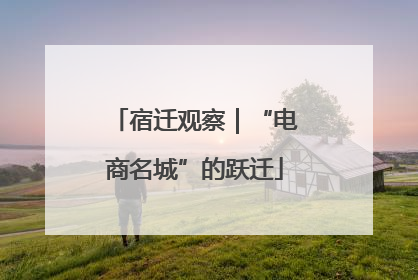 宿迁观察｜“电商名城”的跃迁