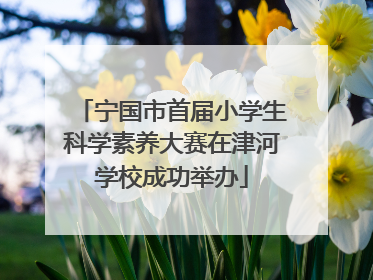宁国市首届小学生科学素养大赛在津河学校成功举办