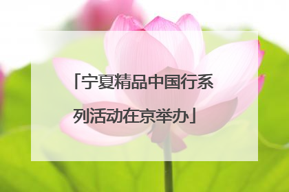 宁夏精品中国行系列活动在京举办