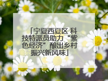 宁夏西夏区 科技特派员助力“紫色经济”酿出乡村振兴新风味