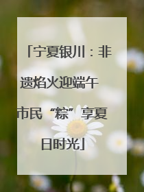 宁夏银川：非遗焰火迎端午 市民“粽”享夏日时光