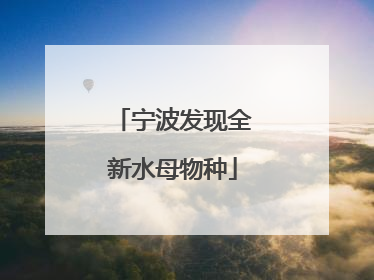 宁波发现全新水母物种