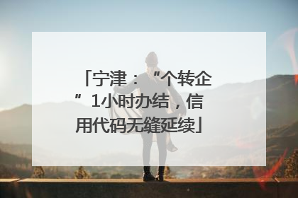 宁津：“个转企”1小时办结，信用代码无缝延续
