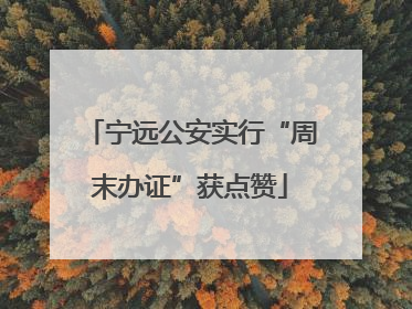 宁远公安实行“周末办证”获点赞
