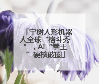 宇树人形机器人全球“格斗秀”，AI“拳王”硬核破圈