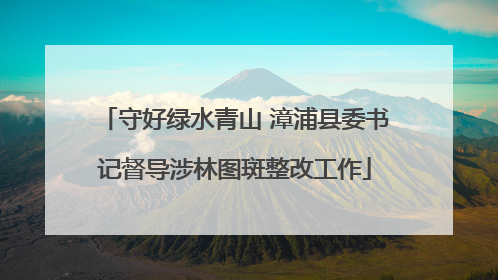 守好绿水青山 漳浦县委书记督导涉林图斑整改工作