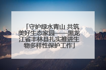 守护绿水青山 共筑美好生态家园——黑龙江省丰林县扎实推进生物多样性保护工作