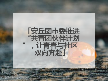 安丘团市委推进“共青团伙伴计划”，让青春与社区双向奔赴