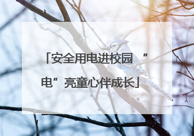 安全用电进校园 “电”亮童心伴成长