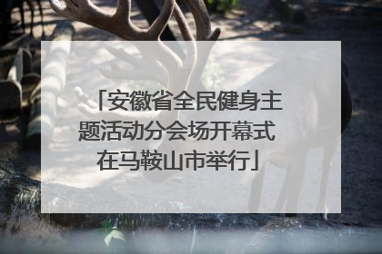 安徽省全民健身主题活动分会场开幕式在马鞍山市举行