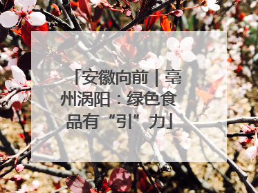 安徽向前｜亳州涡阳：绿色食品有“引”力