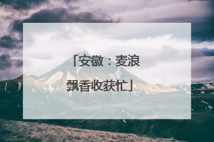 安徽：麦浪飘香收获忙