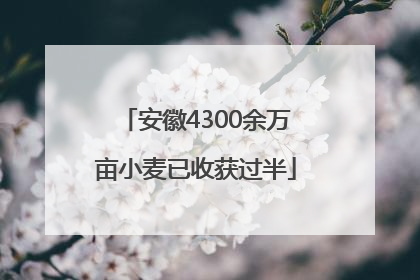安徽4300余万亩小麦已收获过半