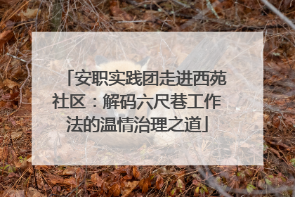 安职实践团走进西苑社区：解码六尺巷工作法的温情治理之道