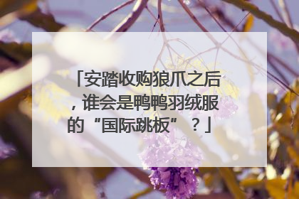 安踏收购狼爪之后，谁会是鸭鸭羽绒服的“国际跳板”？