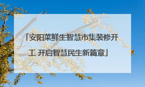 安阳菜鲜生智慧市集装修开工 开启智慧民生新篇章