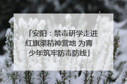 安阳：禁毒研学走进红旗渠精神营地 为青少年筑牢防毒防线