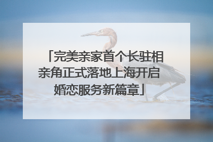完美亲家首个长驻相亲角正式落地上海开启婚恋服务新篇章