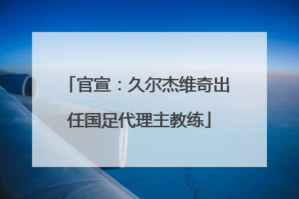 官宣：久尔杰维奇出任国足代理主教练