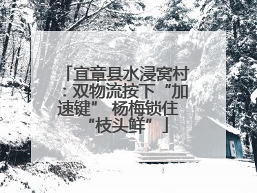 宜章县水浸窝村：双物流按下“加速键” 杨梅锁住“枝头鲜”