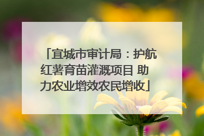 宜城市审计局：护航红薯育苗灌溉项目 助力农业增效农民增收