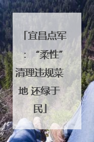 宜昌点军：“柔性”清理违规菜地 还绿于民