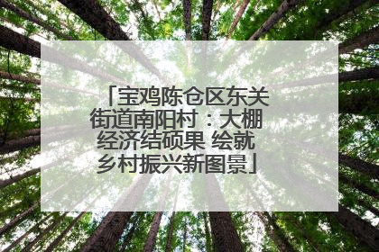 宝鸡陈仓区东关街道南阳村：大棚经济结硕果 绘就乡村振兴新图景