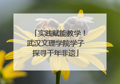 实践赋能教学！武汉文理学院学子探寻千年非遗