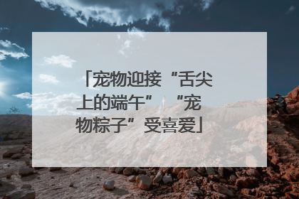 宠物迎接“舌尖上的端午” “宠物粽子”受喜爱