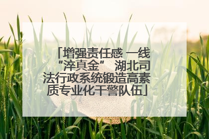 增强责任感 一线“淬真金” 湖北司法行政系统锻造高素质专业化干警队伍