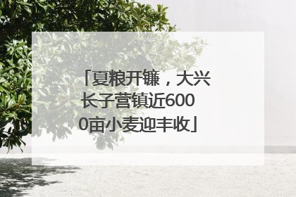 夏粮开镰，大兴长子营镇近6000亩小麦迎丰收