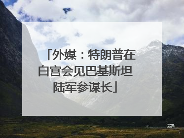 外媒：特朗普在白宫会见巴基斯坦陆军参谋长