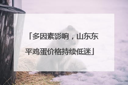 多因素影响，山东东平鸡蛋价格持续低迷
