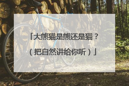 大熊猫是熊还是猫？（把自然讲给你听）