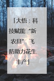 大悟：科技赋能“新农具” 飞防助力花生丰产