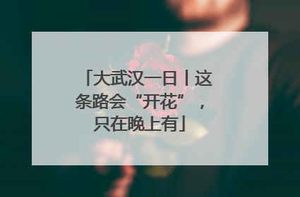 大武汉一日丨这条路会“开花”，只在晚上有