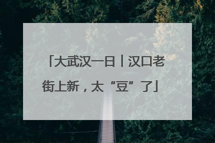 大武汉一日︱汉口老街上新，太“豆”了