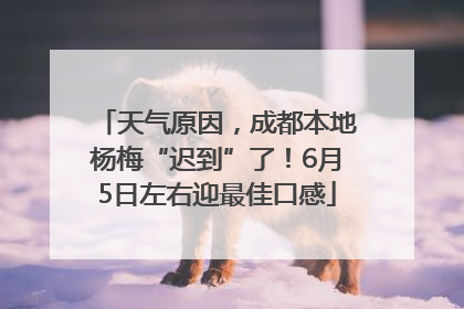 天气原因，成都本地杨梅“迟到”了！6月5日左右迎最佳口感