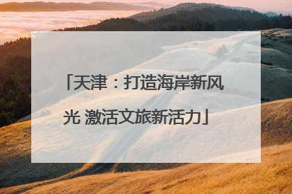 天津：打造海岸新风光 激活文旅新活力