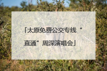 太原免费公交专线“直通”周深演唱会