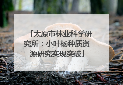 太原市林业科学研究所：小叶杨种质资源研究实现突破