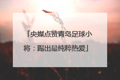央媒点赞青岛足球小将：踢出最纯粹热爱